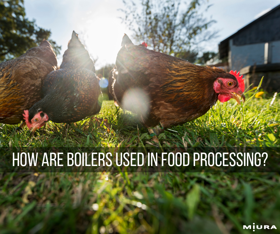 How Are Boilers Used In Food Processing?